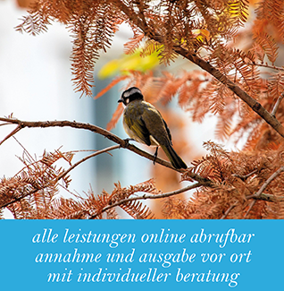 zum Blueprint. onlineshop zum Blueprint. onlineshop
